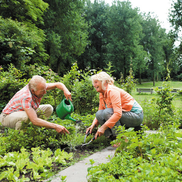 Man en vrouw werken samen in de tuin
