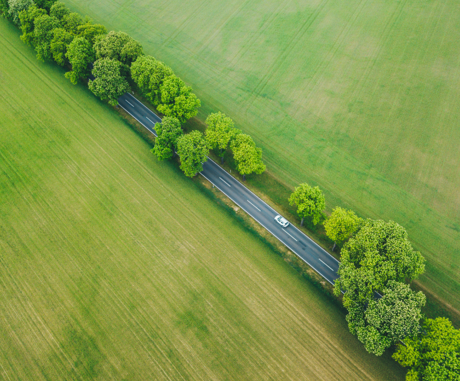 green envinronment with highway